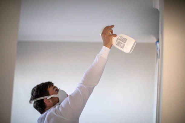 Best Black Mold Removal  in Seven Mile, AZ