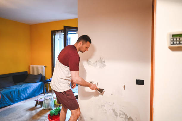 Best Commercial Mold Removal  in Seven Mile, AZ